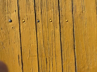 Foto aus dem Garten, Texturen, Natur, Frühling, Mauer, Malerei, Wasserfarbe, Blumen, 