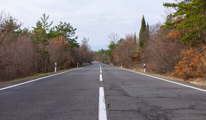 Fototapeta premium Smooth straight asphalt road in the forest with a dividing white stripe in the middle