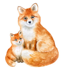 Naklejka premium Fox. Mom and baby isolated on white background. Forest animals. Cartoon. Watercolor. Illustration Template