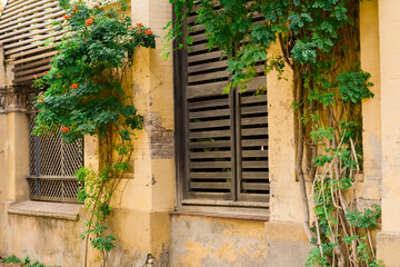 An old building with peeling walls with windows with wooden shutters in beautiful colorful greenery