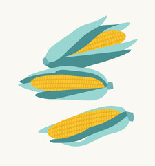 Vector illustration of corn. Set of three corn isolated on a beige background. Hand-drawn corn in flat style. Illustration of vegetables. Suitable for illustrating healthy eating, recipes, local farm.