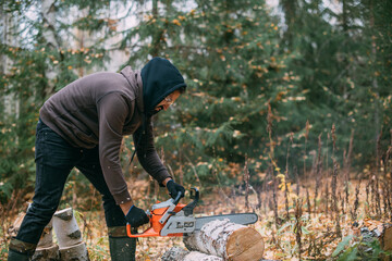 A man is sawing a tree with a chainsaw. A young guy works in a pine forest