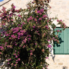 Traditional Mediterranean house with wooden window shutters and flowers.
