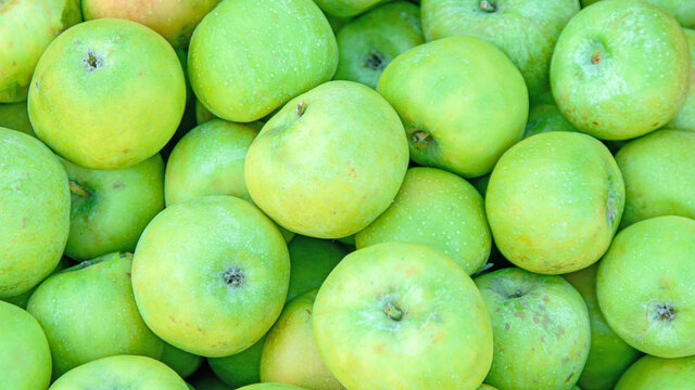 Green apples. Apple background. Picture for advertising apples