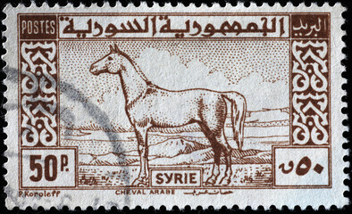 Naklejka premium Arabian horse on vintage syrian postage stamp