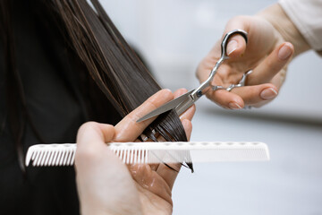the process of cutting long hair of a young brunette woman with scissors in a beauty salon