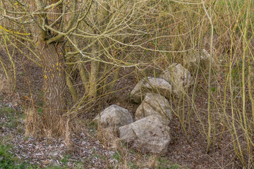 Findlinge in ausgetrocknetem Bachlauf