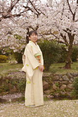 桜と和服の女性