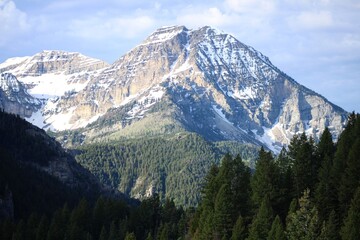 Obraz premium mount hood state