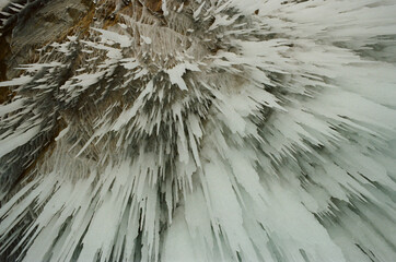 close up of a flower