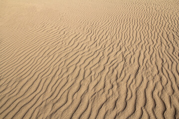 wavy sandy beach texture, summer travel background