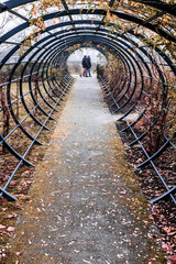 2 people walking in a park in France during autumn. Photo taken from a tunnel made by the famous...