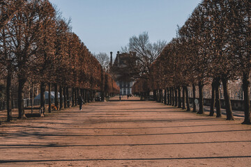 autumn in the city