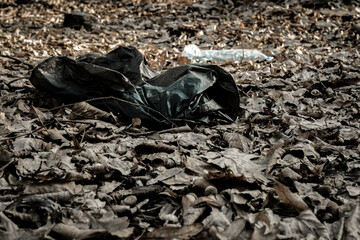 Plastic bottle. Waste garbage in forest and environment. Trash rubbish in woodland. Save nature Ecology and pollution concept.