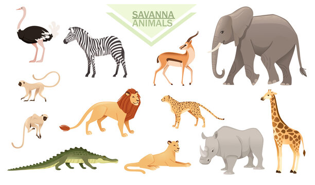 Set of african animals savanna and african beast cartoon animal design vector illustration on white background