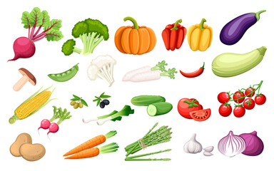 Big set vegetables fresh agriculture collection vector illustration on white background