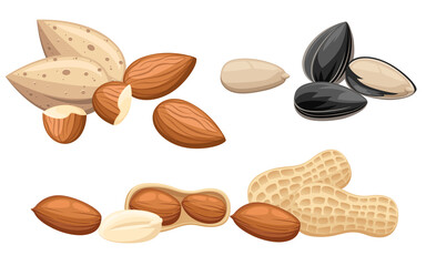 Set of snacks nut almond and sunflower seeds vector illustration on white background