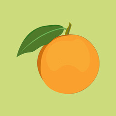 Orange with leaf on light green background