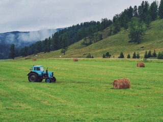 Fototapeta premium bales in the field