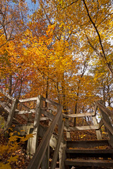 Stairway into the Fall