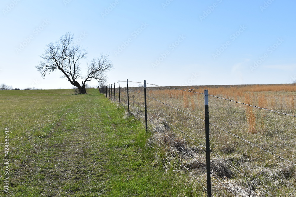 Sticker Fence Row