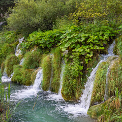 Little waterfalls in the Plitvice Lakes national park, croatia