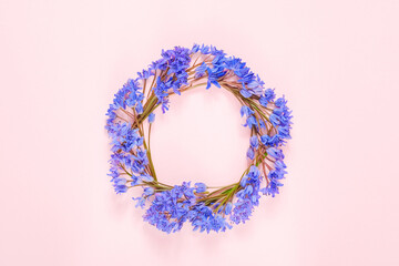 Round frame, wreath made with snowdrop flowers on pink pastel background. Spring flowers concept, copy space for text, creative flat lay