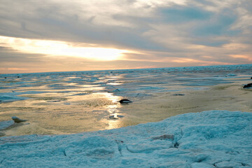 Fototapeta na wymiar icy beach on the background of the sunset