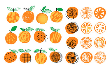 Vector orange set illustration. Hand drawn orange summer collection. Citrus design
