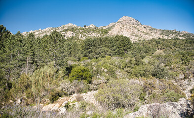 Fototapeta na wymiar Panorama nella Foresta del Monte Nieddu in Sardegna