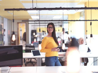 Fototapeta premium business woman portrait in open space startup coworking office