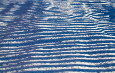 winter cold weather after the snowfall