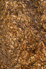 the structure of an ordinary stone