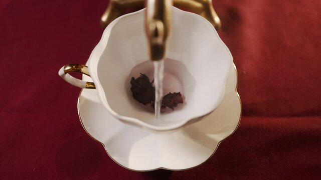 Tea from dried perianth flowers of roselle Hibiscus sabdariffa. Sour-tasting drink of bright red color. Close-up of stream of water from spout of kettle or samovar. Tea traditional ceremony.