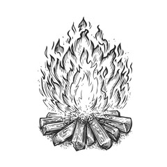 Hand drawn bonfire. Flame and burn firewood, fireplace sketch vector illustration © ~ Bitter ~