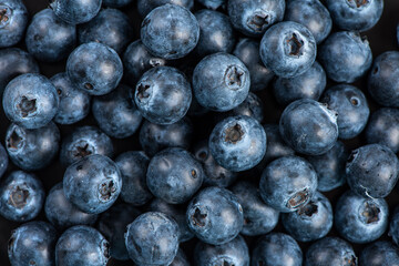 close up of ripe sweet blueberry. Fresh blueberries background
