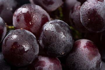 Close up of a bunch of purple grapes,water drops