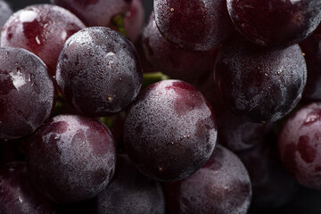 Close up of a bunch of purple grapes,water drops