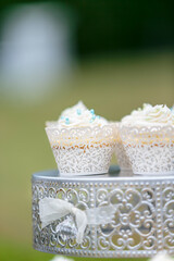 Outdoor wedding reception with cake and cupcakes catered to the guests