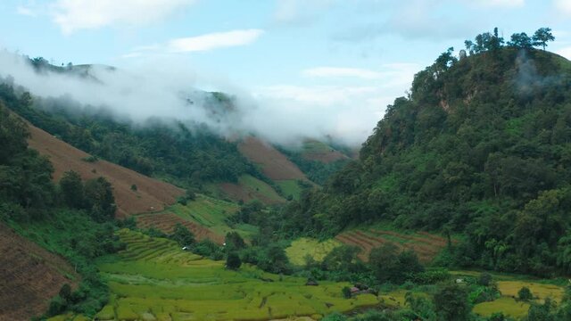 Rice Terraces in Doi inthanon national park in chiang Mai province, Thailand, south east asia