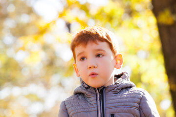 portrait of a beautiful child boy during a walk in the Park