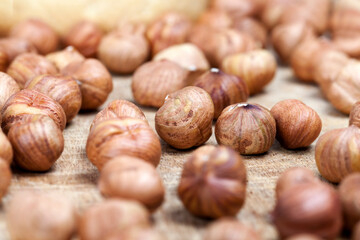 fresh raw hazelnuts, delicious hazelnuts on the table