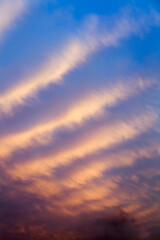 Fototapeta premium beautiful colored sky during sunset