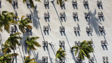 Aerial view of row of sun loungers on the beach with white sand and palm trees. Caribbean sea. Dominican Republic