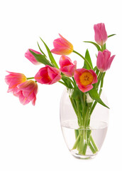 Many beautiful tulips with leaves in a glass vase isolated on transparent background. Photo with fresh spring flowers for any festive design