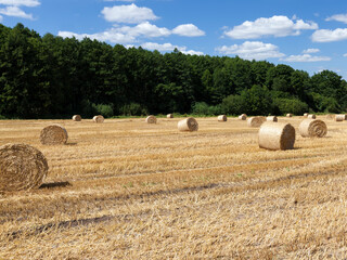 straw on agricultural land after harvesting