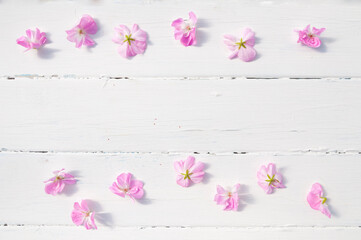 pink flowers on a white wooden background