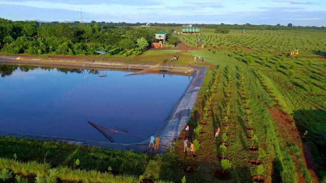 Fish farmers netting their fish in Africa. Shot on a canon eos r and 70-200 f2.8.