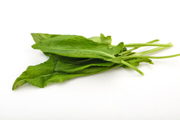 Aroma Fresh green sorrel heap