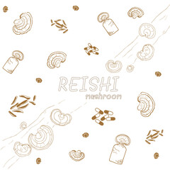 Reishi mushroom line hand drawing - mycelium, capsules, spawn and sliced mycelium